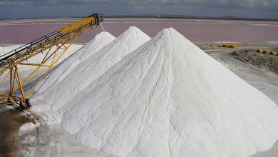 egyptian salt export