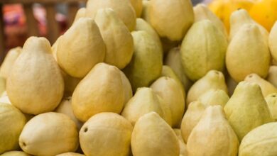 استيراد الجوافة من مصر