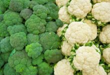 importing cauliflower and broccoli